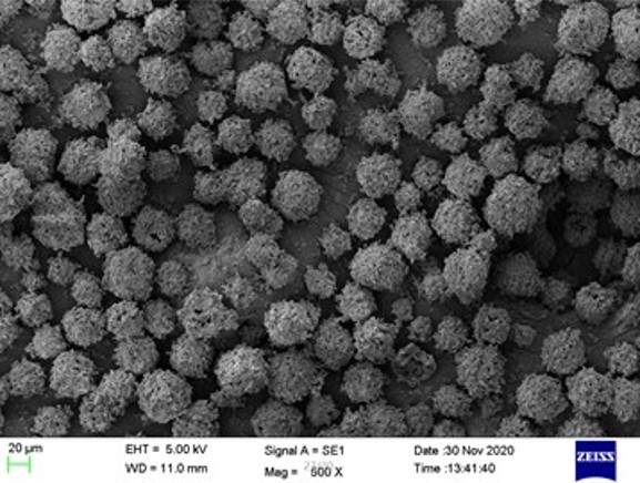 DPS Diamond Powder and Slurry左